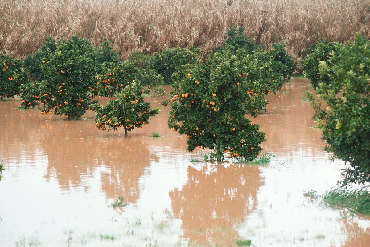 The Rising Frequency of Flooding in the Mediterranean and EU.jpg